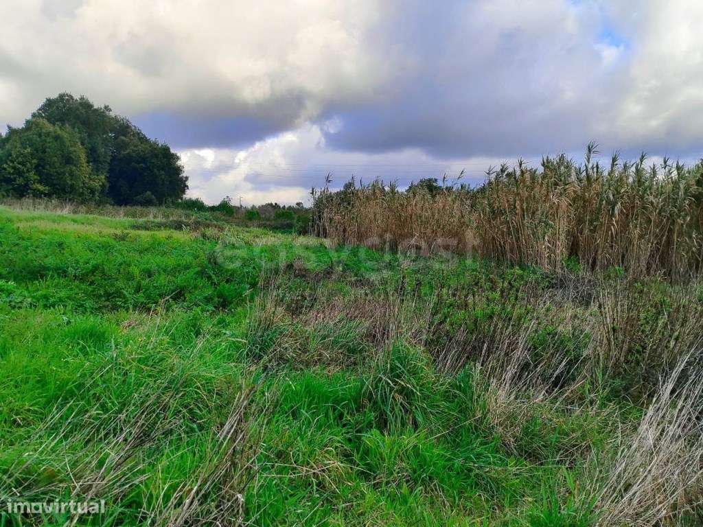 Terreno com cerca de 1500m², localizado na vila de Pataias - Grande imagem: 5/9