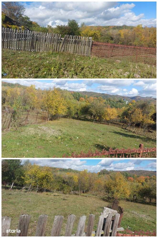 De vânzare 2 terenuri, com. Berevoești, sat Ungureni, 3500mp, 8€/m2 - Imagine principală: 5/8