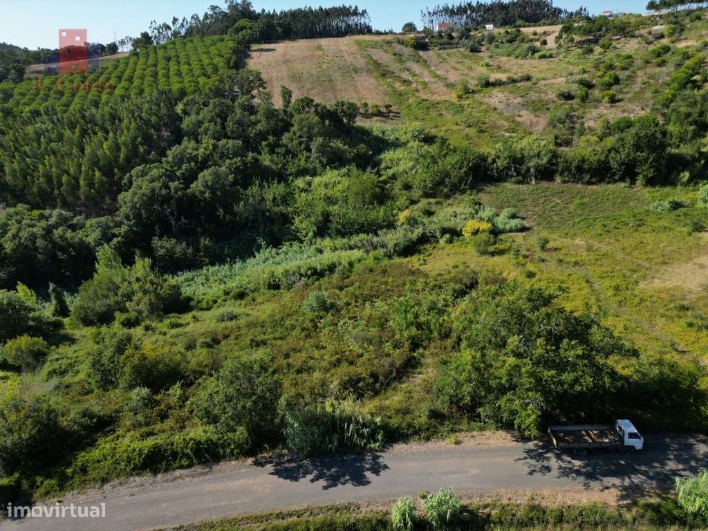 Terreno Rústico em Vidais, Caldas da Rainha - Grande imagem: 5/11