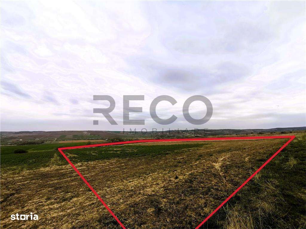 Teren mare extravilan in Uileacu de Munte - Imagine principală: 2/5