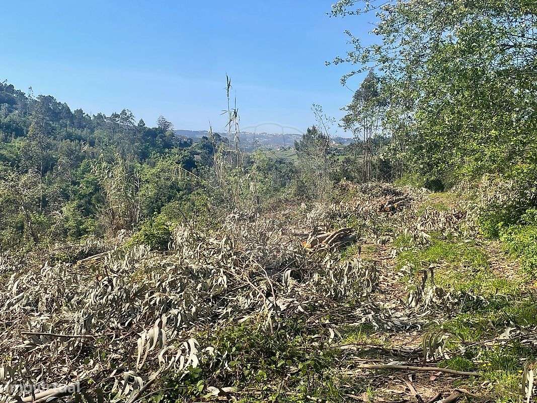 Terreno  para venda-5