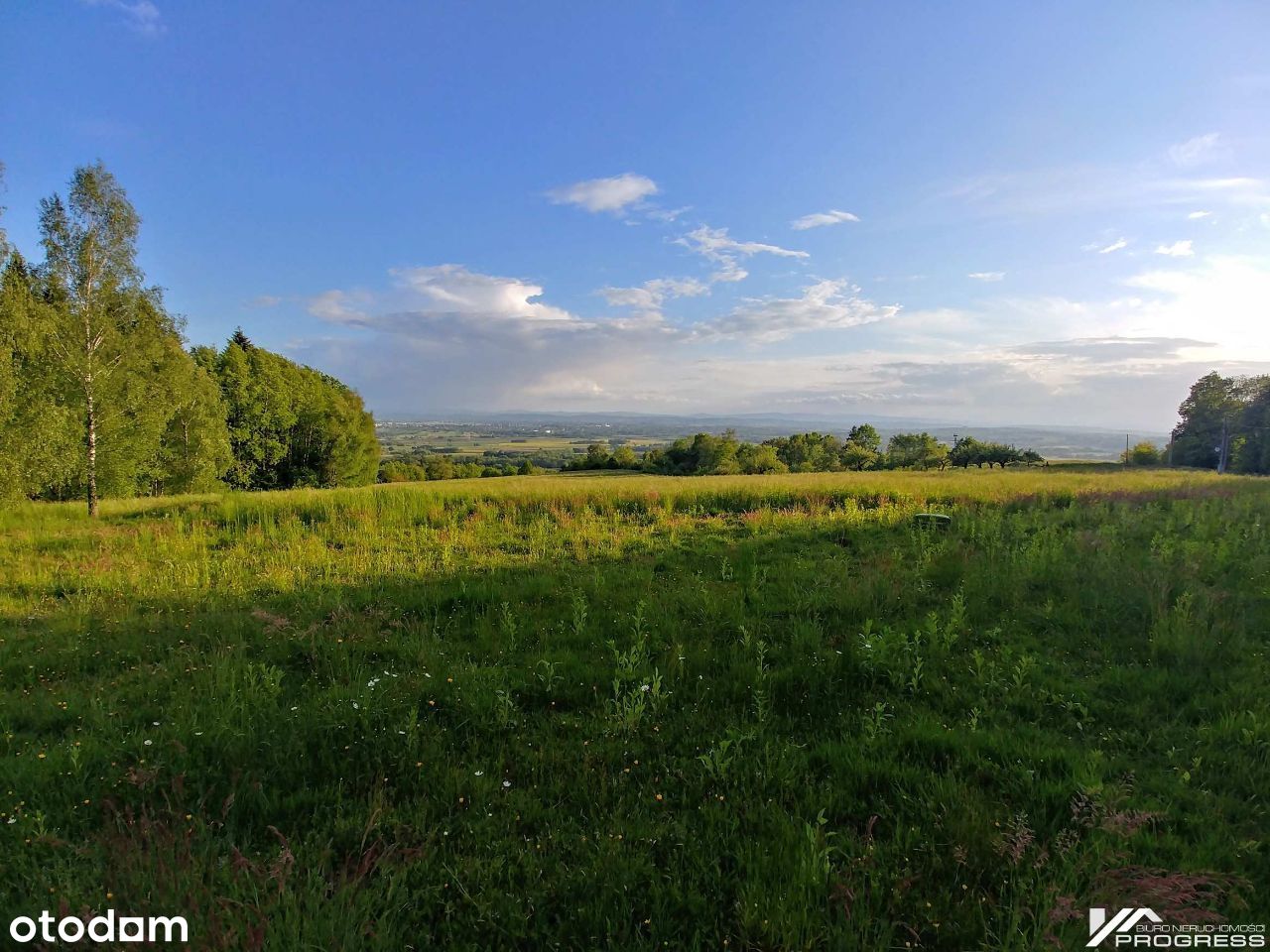 Widokowa działka budowlana 2983m2 – ODRZYKOŃ.