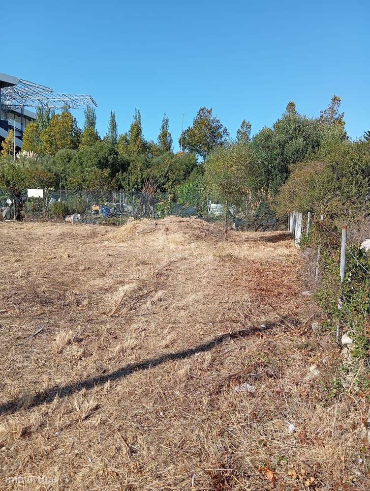 Oportunidade de Investimento em Rio de Mouro – Cabeça Gorda / Anafais-5