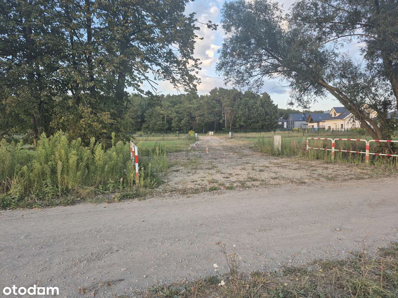 6 Działek do wyboru  PRZY LESIE sprzedaż działek plus podatek VAT ,-4