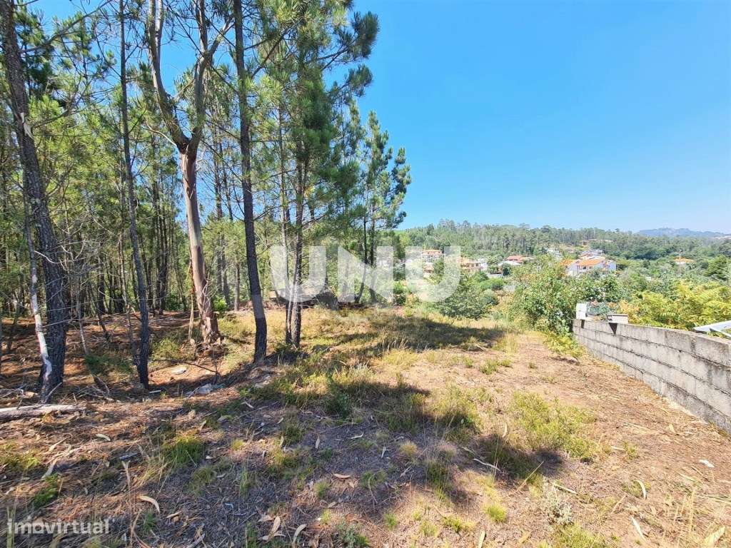 Terreno em Zona Urbanizável - Vistas Fantásticas - Grande imagem: 3/11