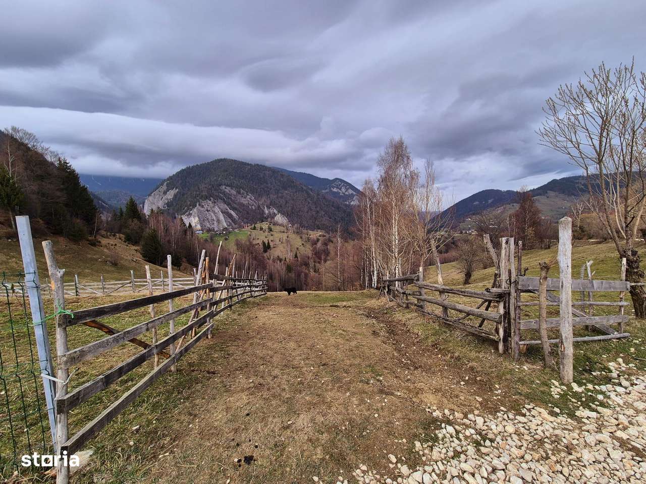 Teren cu energie speciala zona Pestera/Moeciu Brasov, 13.570mp-4