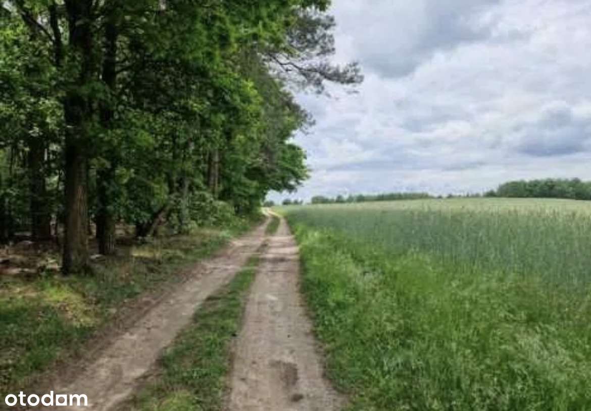 Działka budowlana 1300 m² w Rumunkach Tupadelskich - Pełny obrazek: 4/7