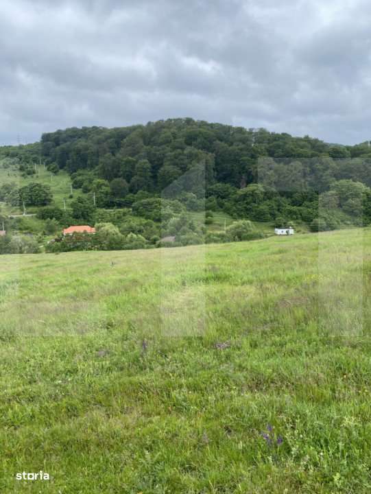 Teren cu potential – 1000 mp pe Dealul Partizanilor - Imagine principală: 2/5
