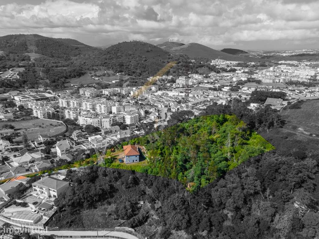 Quinta de 1 ha com moradia de 260 m2-6