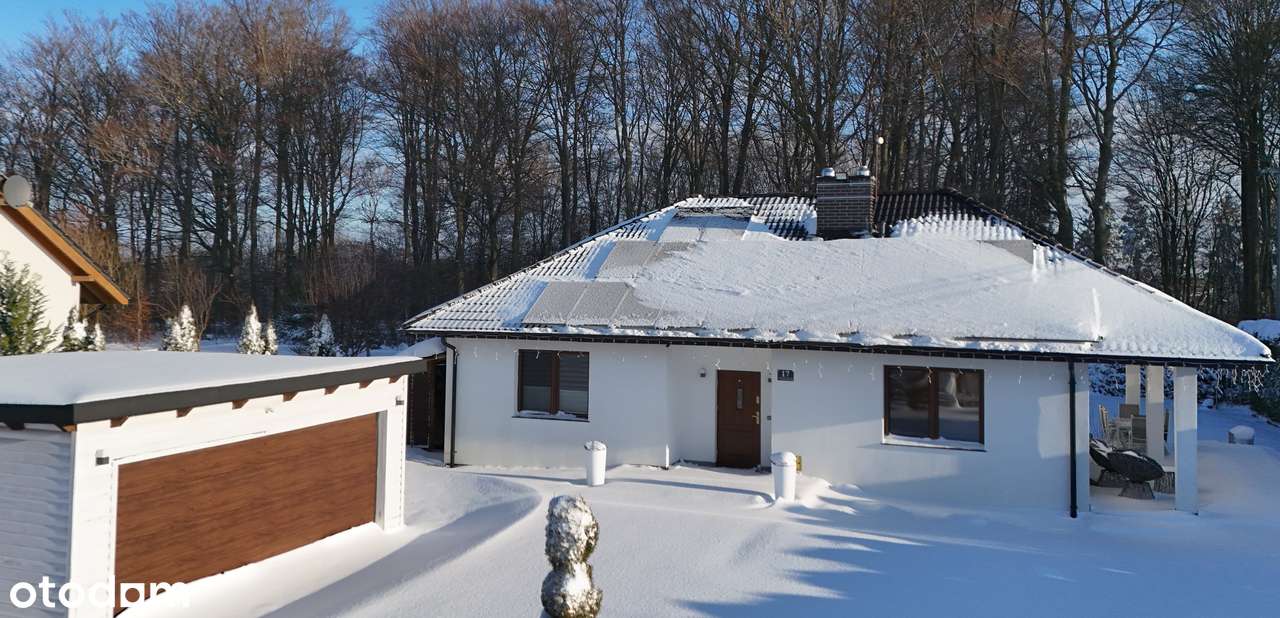 Włynkówko |Wolnostojący dom przy lesie | Bez prowizji | - Pełny obrazek: 2/13