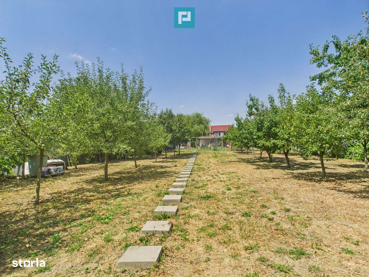 Teren edificabil 1106 mp – Dumbrăvița - Imagine principală: 3/8