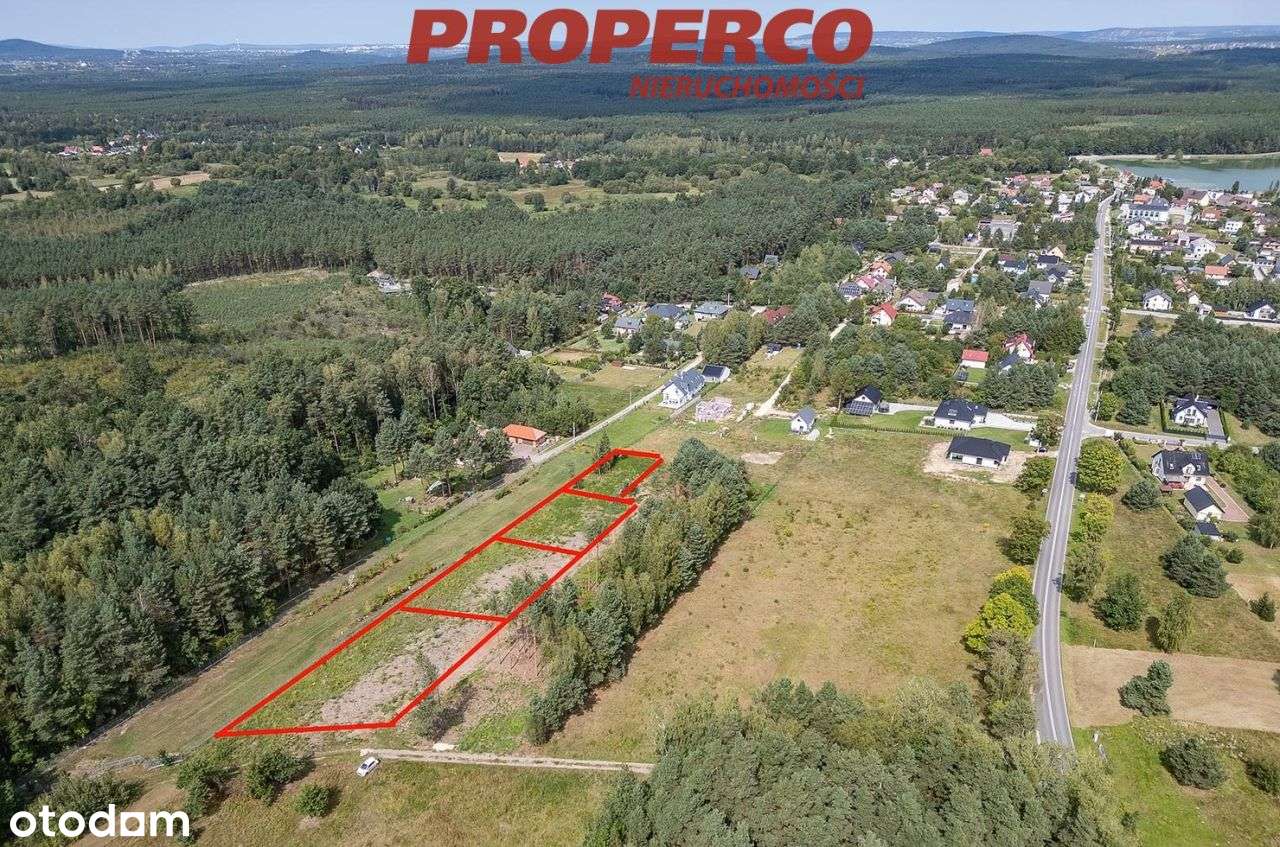 Działka 1000m2, las, zalew - Borków gm.Daleszyce - Pełny obrazek: 4/5