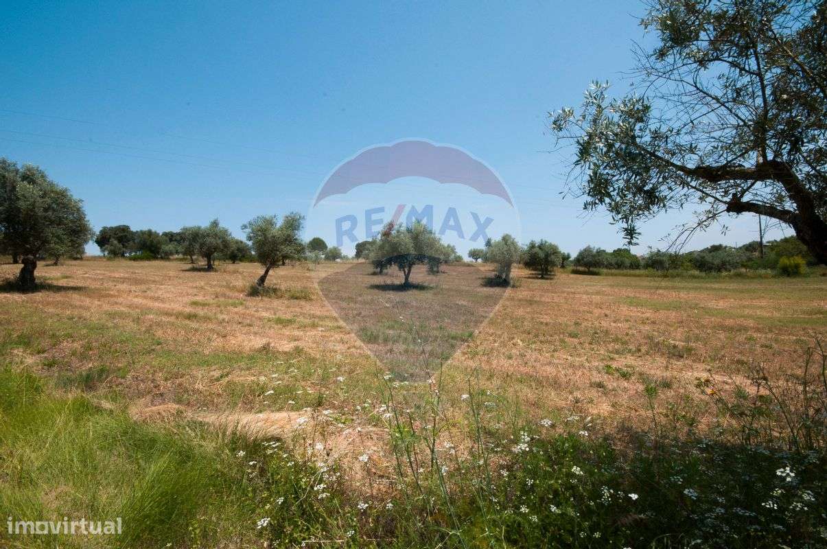 Terreno  para venda - Grande imagem: 5/6