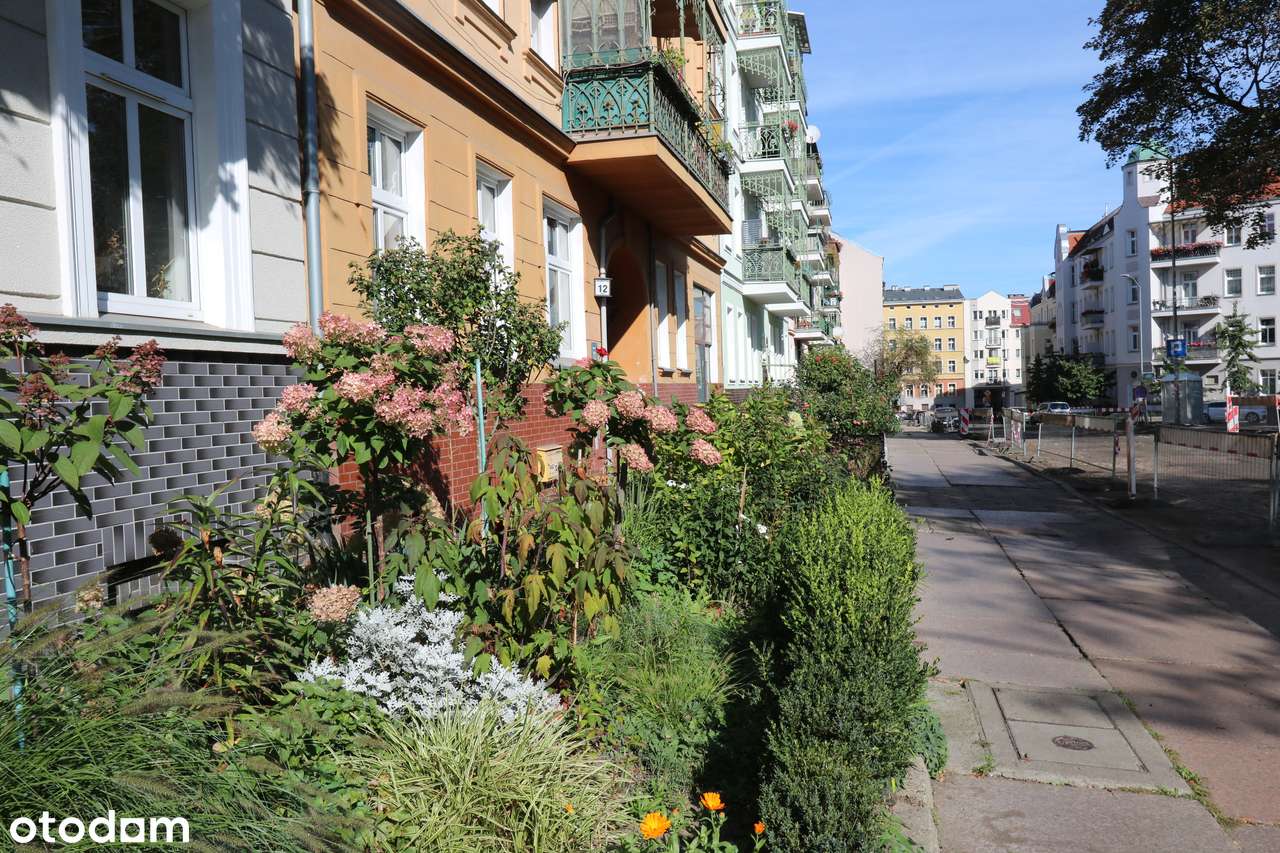 Kawalerka NA PARTERZE DO KAPITALNEGO REMONTU. - Pełny obrazek: 3/15