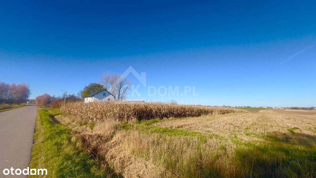 Wyjątkowa działka budowlana 1571 m² – Sielec-3