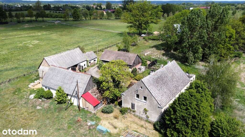 Duży przedwojenny dom jednorodzinny - Pławin-12