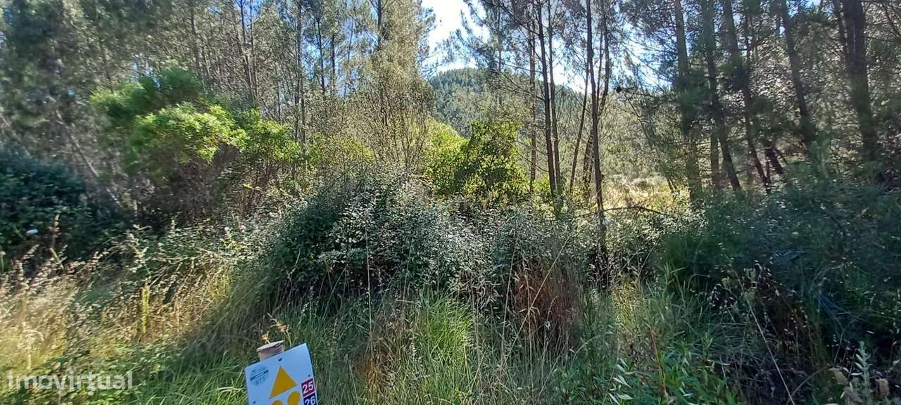 Terreno Rustico Sobrainho da Ribeira - Grande imagem: 4/14