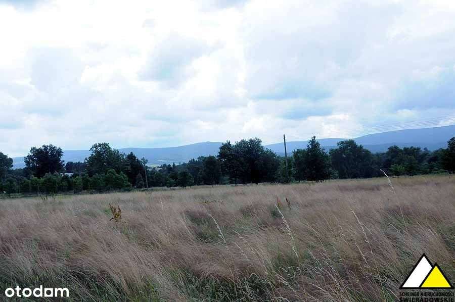 Blisko Wolimierza-13