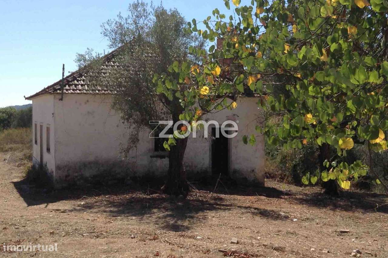 Quinta 19 hectares Rio Maior, Santarém - Grande imagem: 5/31