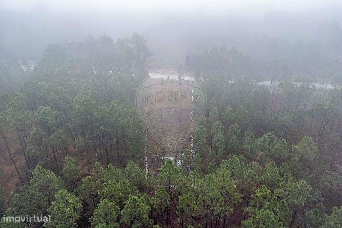 Terreno  para venda - Grande imagem: 4/11