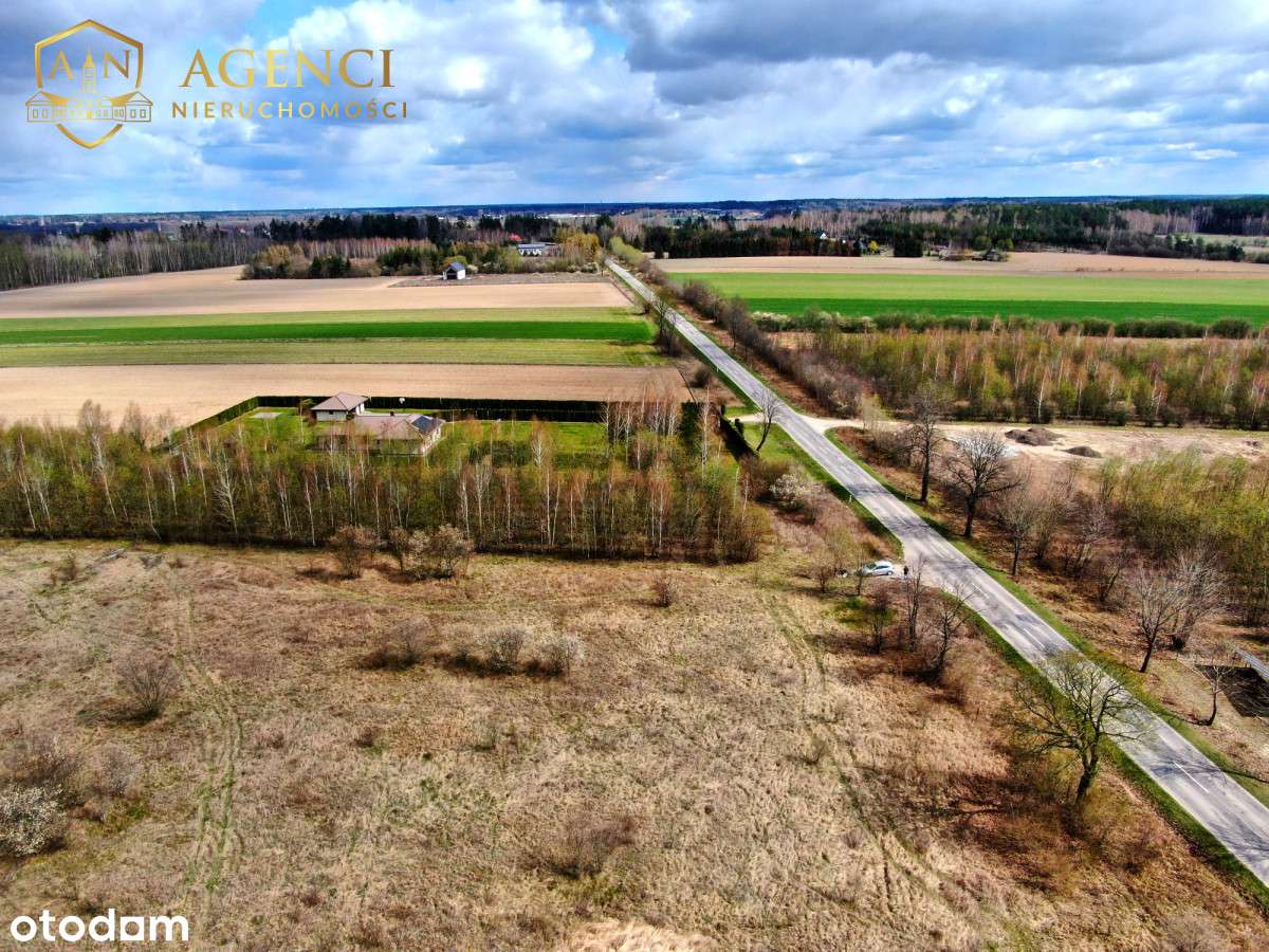 * Baciuty - 3053m2 * Działka z potencjałem * - Pełny obrazek: 4/6