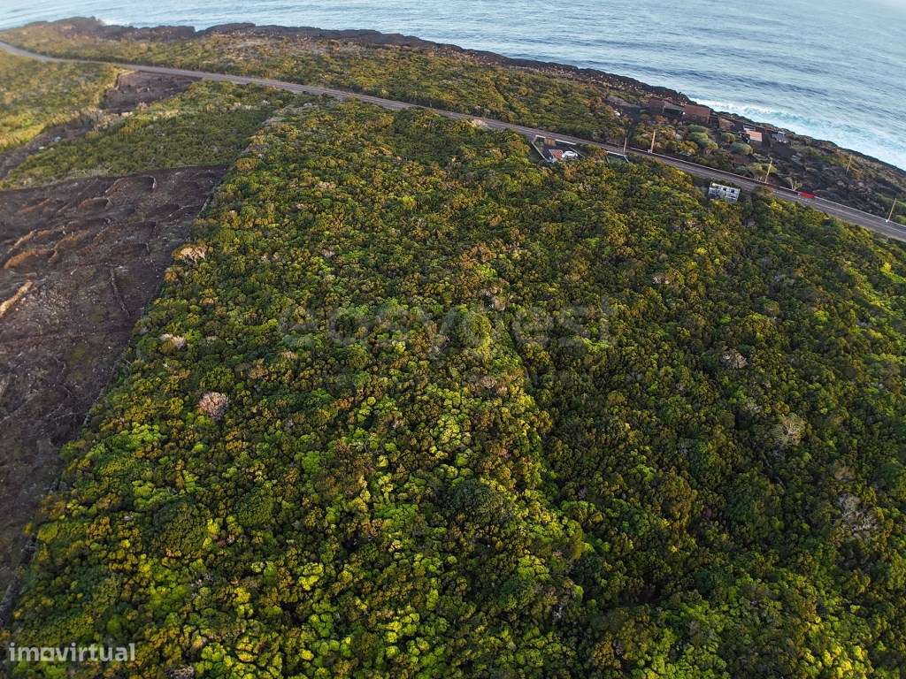 Terreno com Vista Mar e Montanha em Zona de Paisagem Protegida da V... - Grande imagem: 4/14