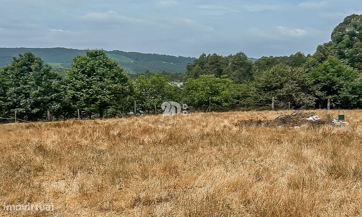 Lote de terreno 5000m² - Calendário - Grande imagem: 5/10