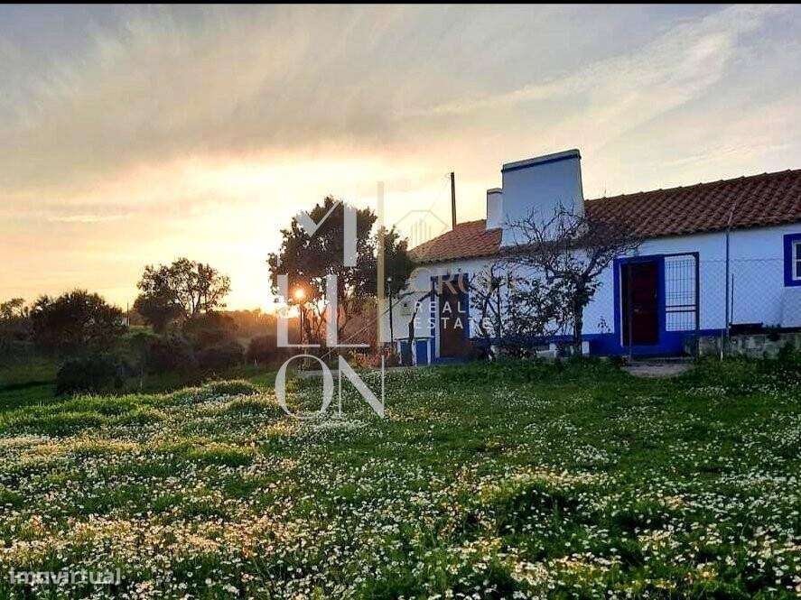 Monte de 405,750m2 com casa parcialmente renovada em Grândola - Grande imagem: 1/41