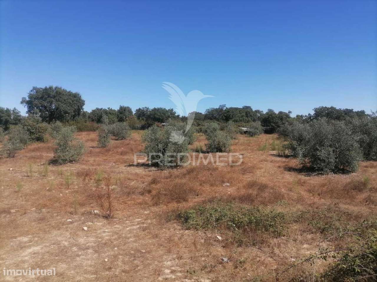 Terreno - Grande imagem: 4/8