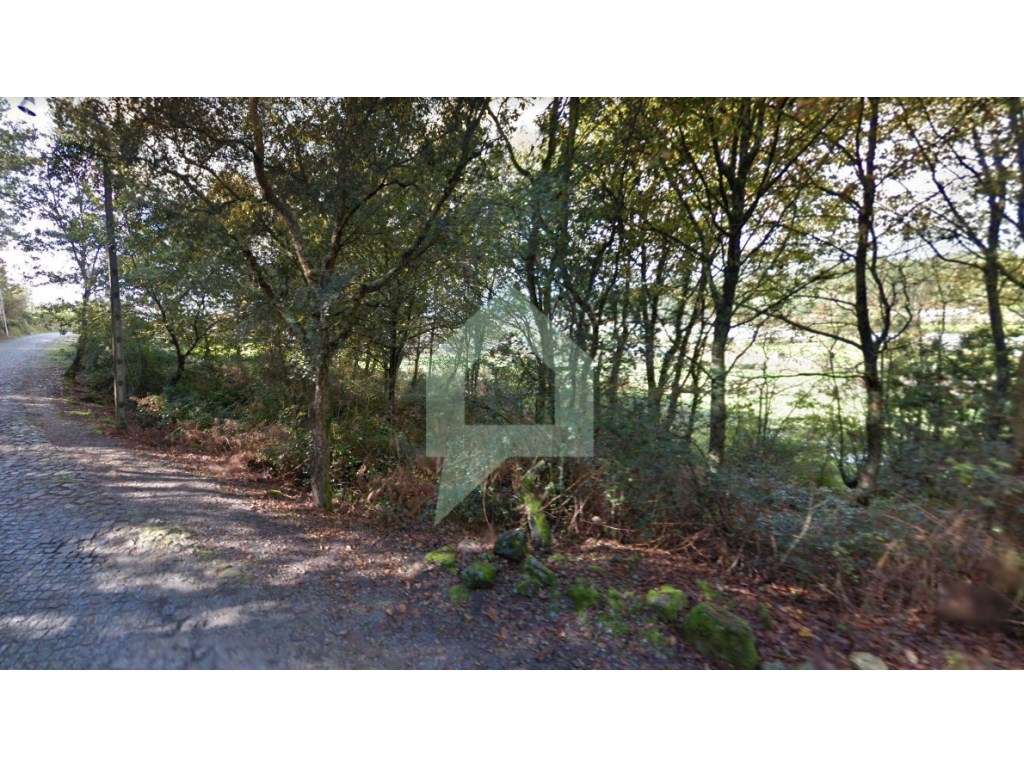 Terreno de 2000m2 para construção de moradia - Grande imagem: 1/7