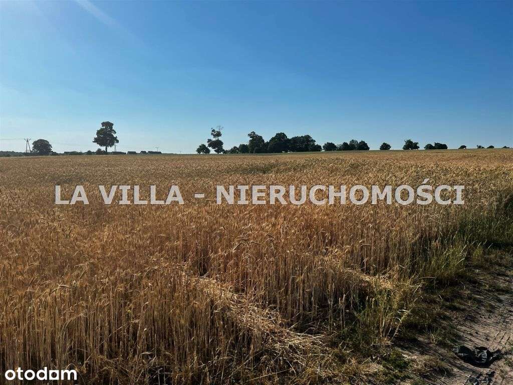 Działka na hale, magazyny, usługi blisko Wschowy - Pełny obrazek: 4/8