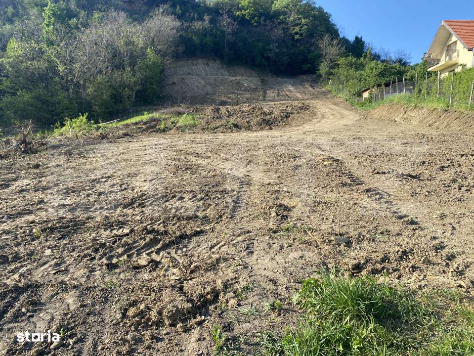 Teren intravilan cu toate utilitatile, 2000 mp, zona Episcopiei - Imagine principală: 2/13