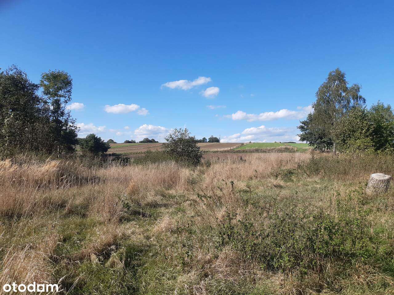 Dom do remontu z dużą działką (możliwość podziału)-14