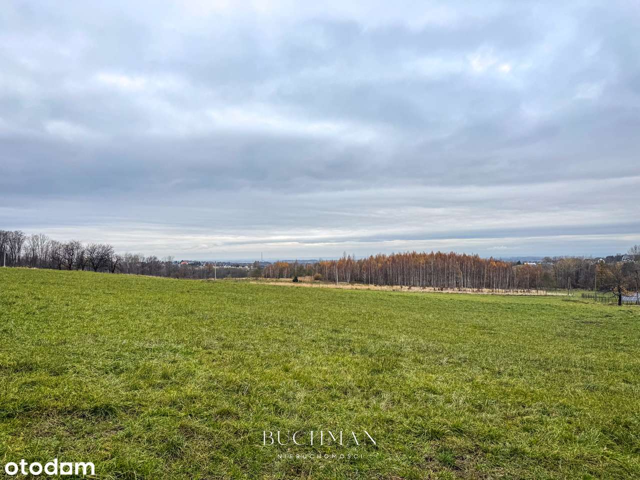 87 ar + Domek pod lasem z możliwością rozbudowy  - BEZ Prowizji-11