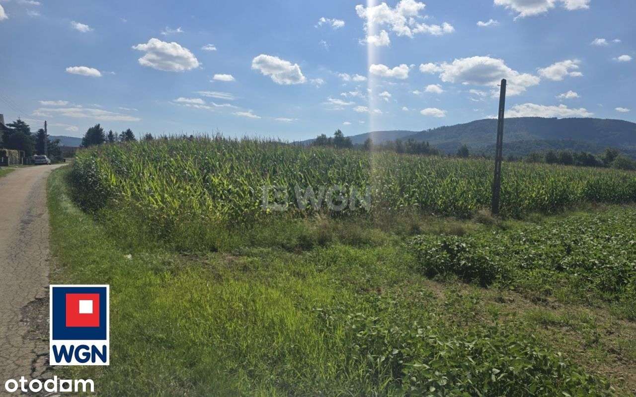 Działka, 3 218 m², Równia - Pełny obrazek: 5/18