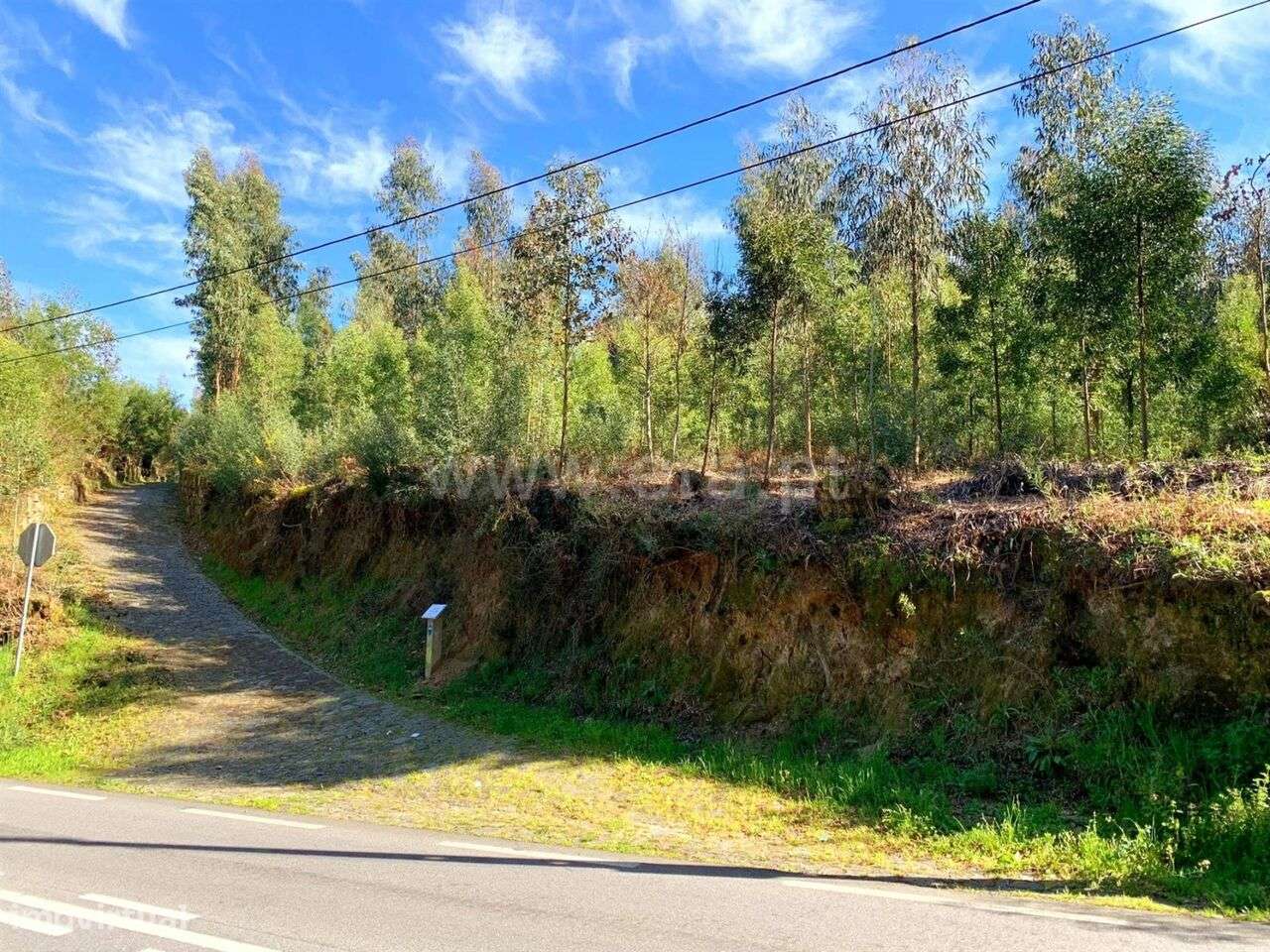 Terreno para Construção / Marco de Canaveses, Vila Boa do Bispo - Grande imagem: 5/5