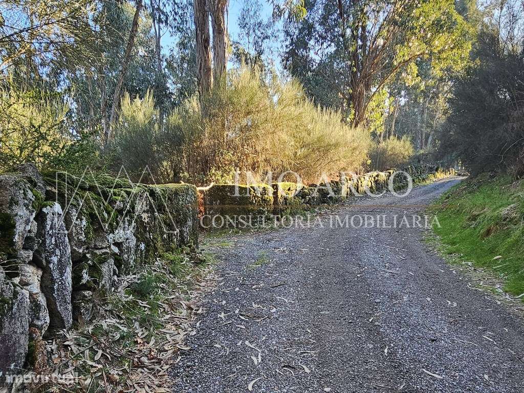 Terreno. Rustico em Pedraça - Grande imagem: 5/20