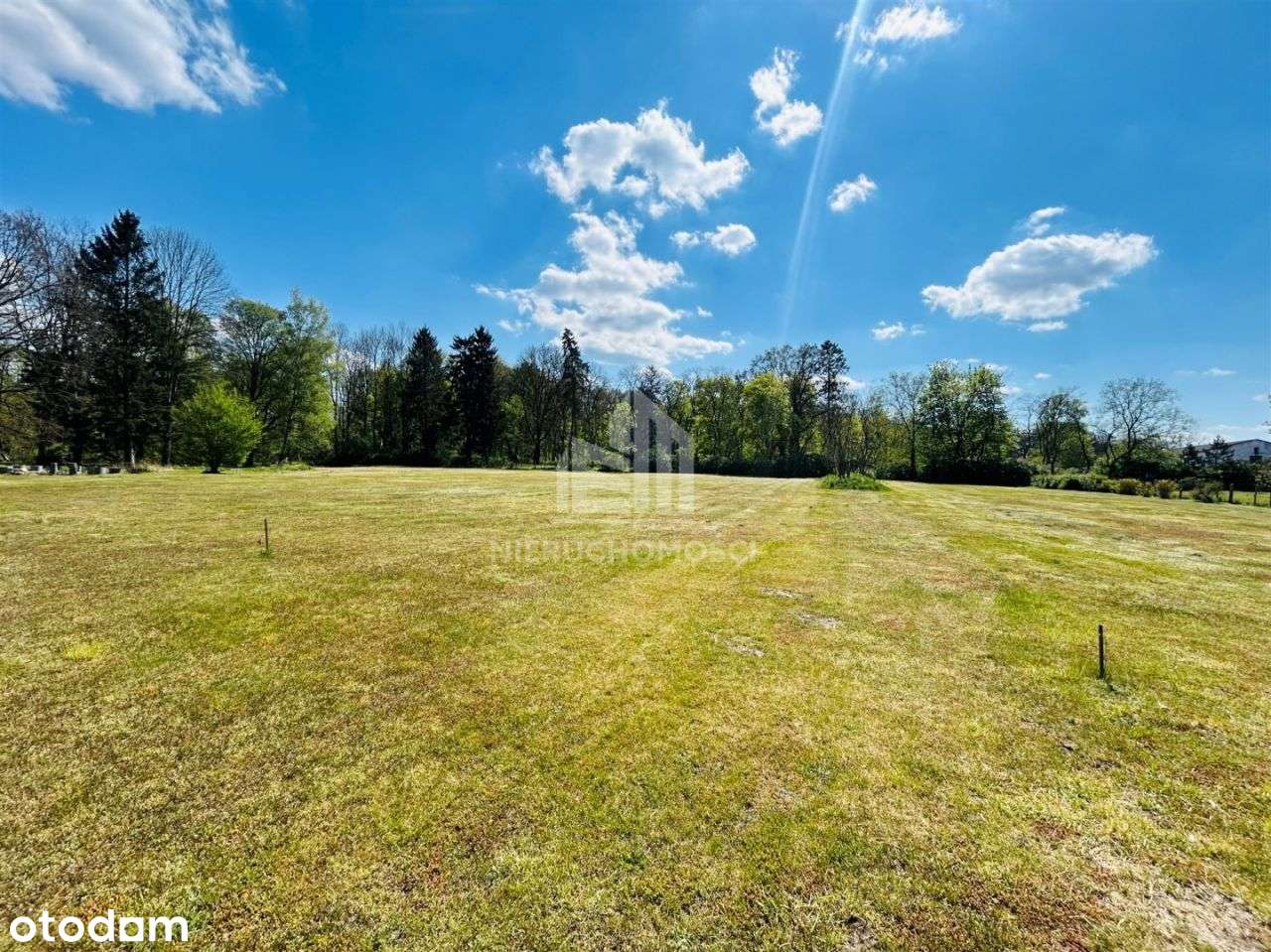 Działki budowlane pod lasem Natura 2000, Rzędziny - Pełny obrazek: 5/9