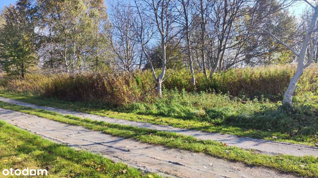 Atrakcyjna działka budowlana 10 ar - Pełny obrazek: 4/6