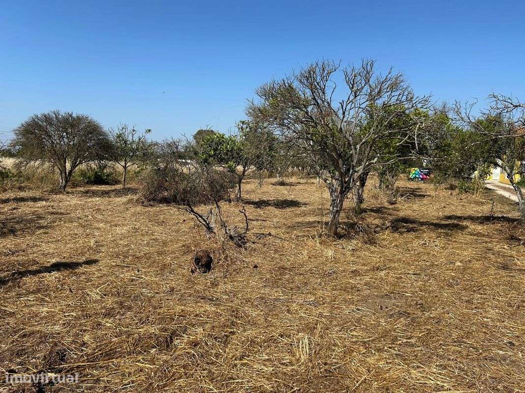 Terreno  para venda - Grande imagem: 4/9