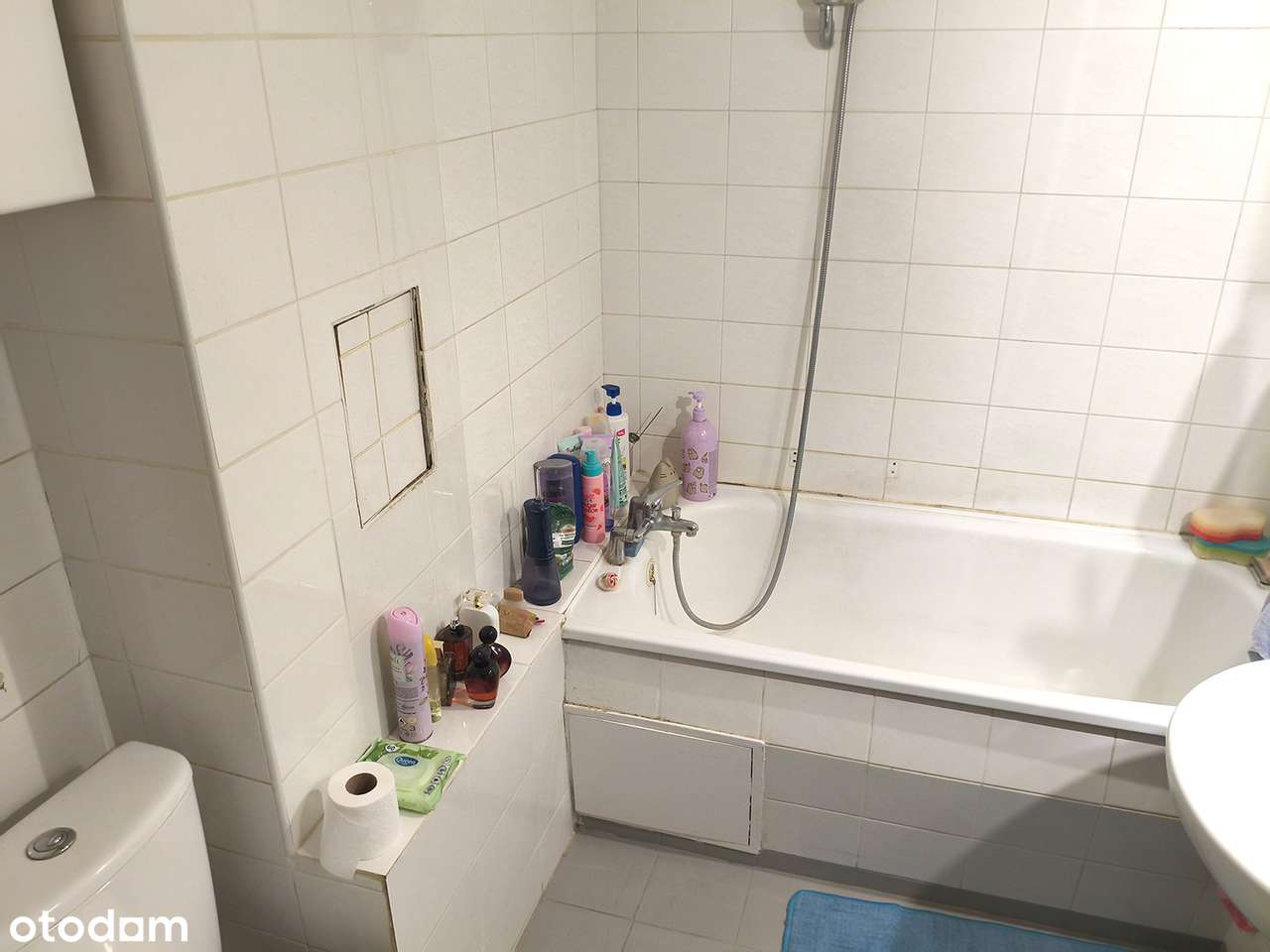 2 pokoje , balkon, piwnica - Pełny obrazek: 5/7