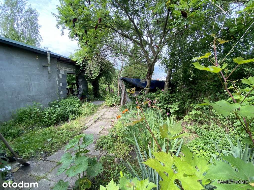 DOM wolnost-DO REMONTU, dz.900m2, Gniezno-Jankówko-3