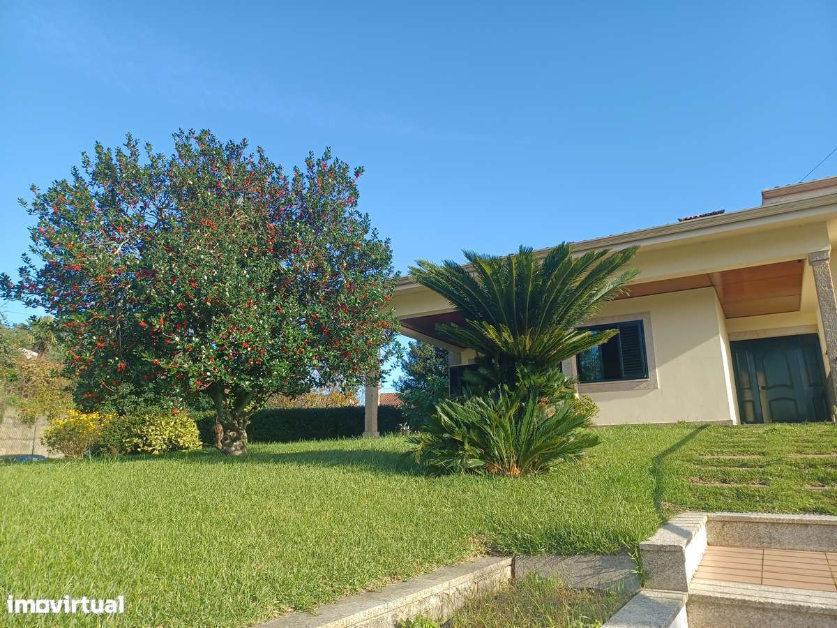 2 Casas - 2 artigos casa principal + Casinha  (Tipo T1)  em Lago - Grande imagem: 4/20