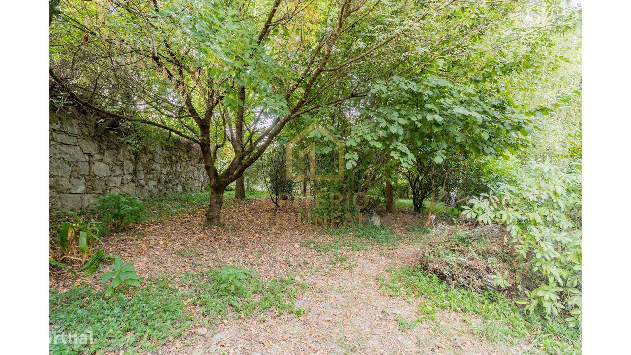 Quinta com Moradia T5 em Boelhe,Penafiel-9