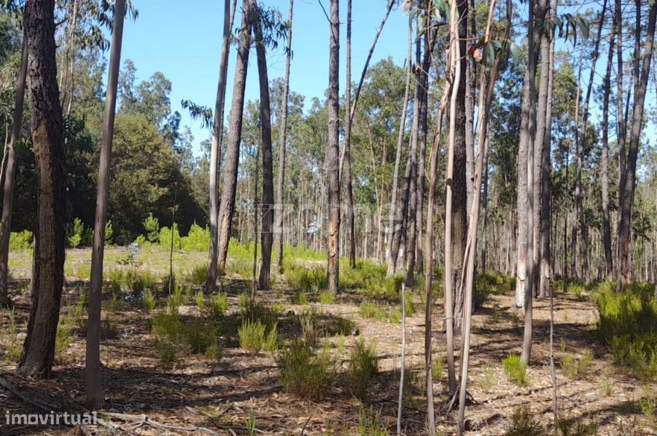 Terreno rústico - Grande imagem: 4/23