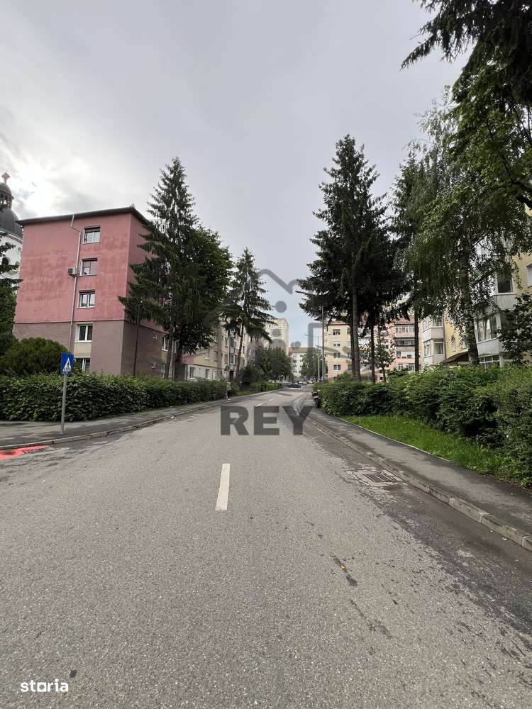 Reducere 1000€ / Ap 2 camere semidecomandat zona Bd. Mihai Viteazul-11