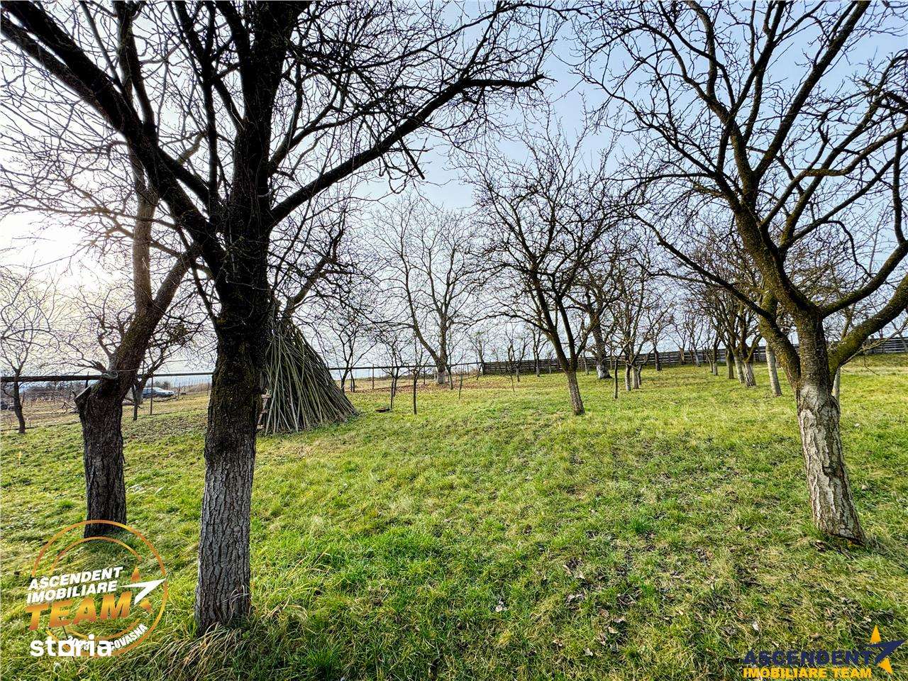 FILM! Oaza ta de liniste pe 0.5ha teren intravilan, Dalnic, Covasna - Imagine principală: 4/20