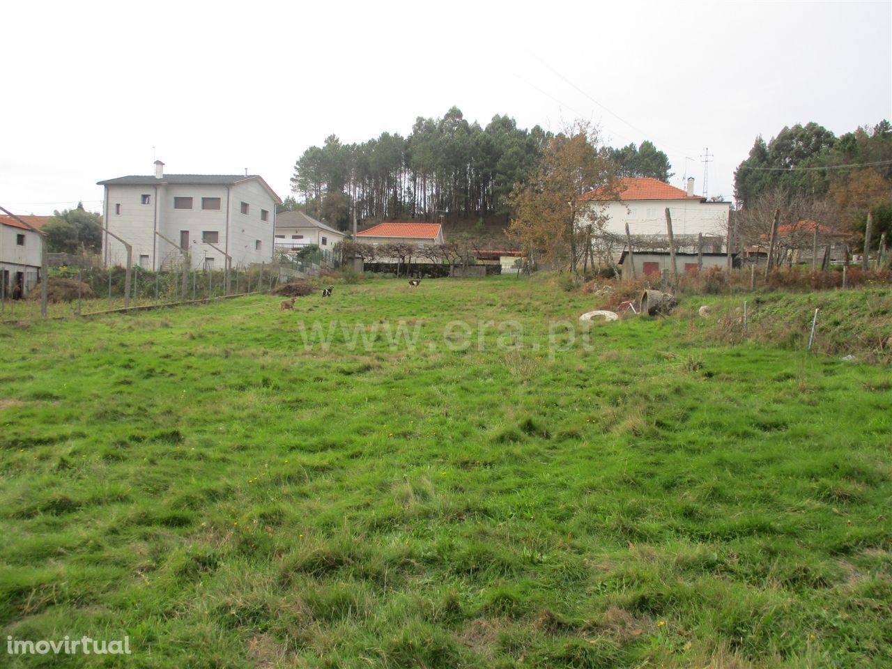 Terreno em Arnozela