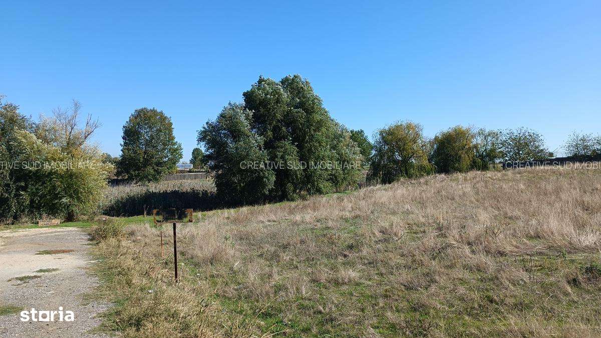 Teren Intravilan 435 mp - Zona Lacuri - 50 m pana la asfalt-5