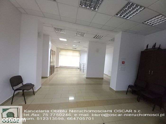 Do wynajęcia atrakcyjny lokal użytkowy w centrum Zgorzelca. - Pełny obrazek: 5/10